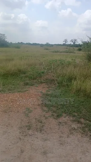 Beach Land for Sale Located at Ada Foah