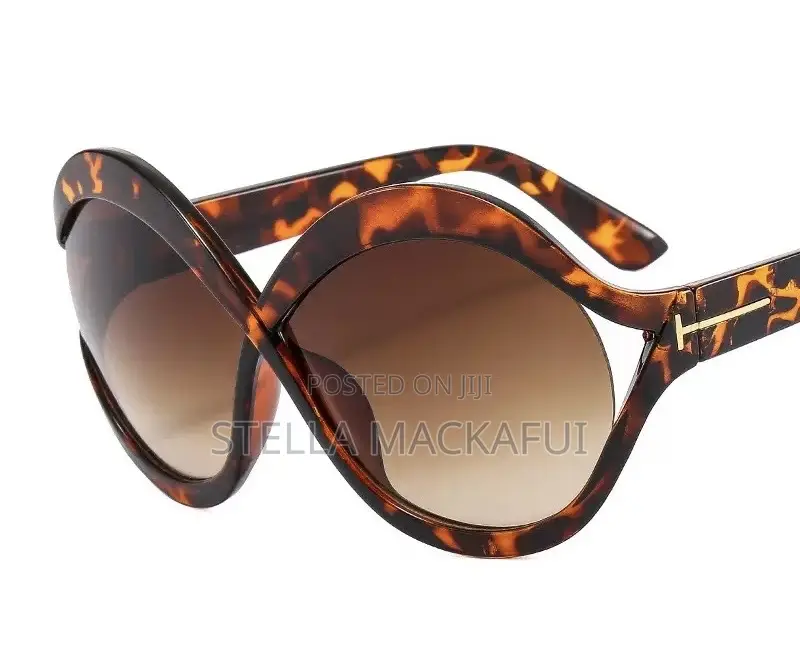 Classy Sunglasses for Ladies