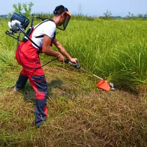 High Quality 4 Stroke Weeder