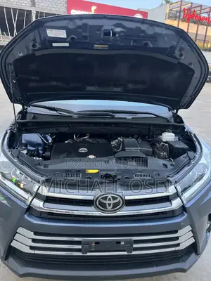Toyota Highlander XLE 2019 Gray