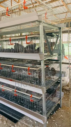 H- Type Battery Cage With Tray (4 Tier) 160 Capacity