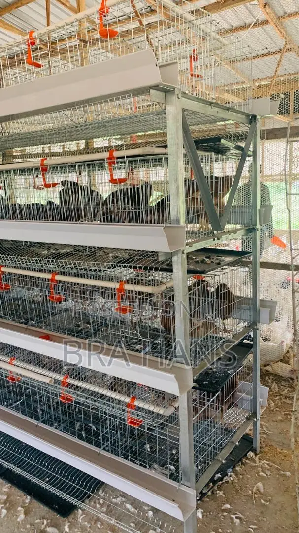 H- Type Battery Cage With Tray (4 Tier) 160 Capacity