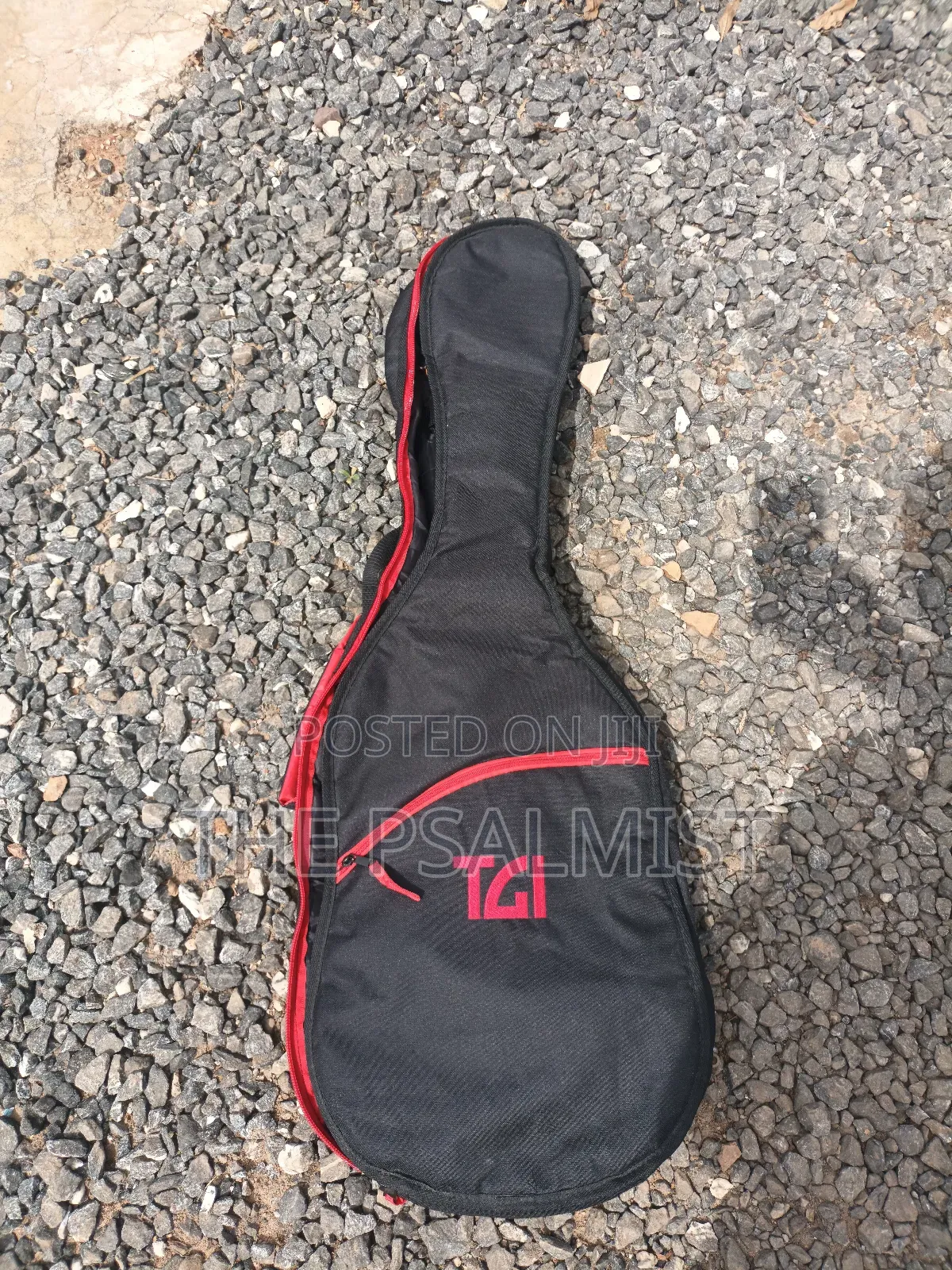 Telecaster Strat the Animal With a Padded Bag