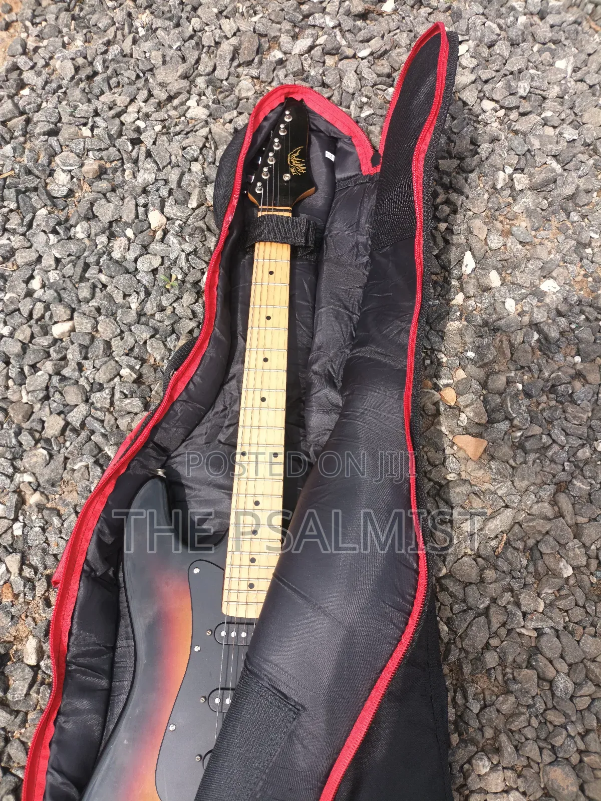 Telecaster Strat the Animal With a Padded Bag