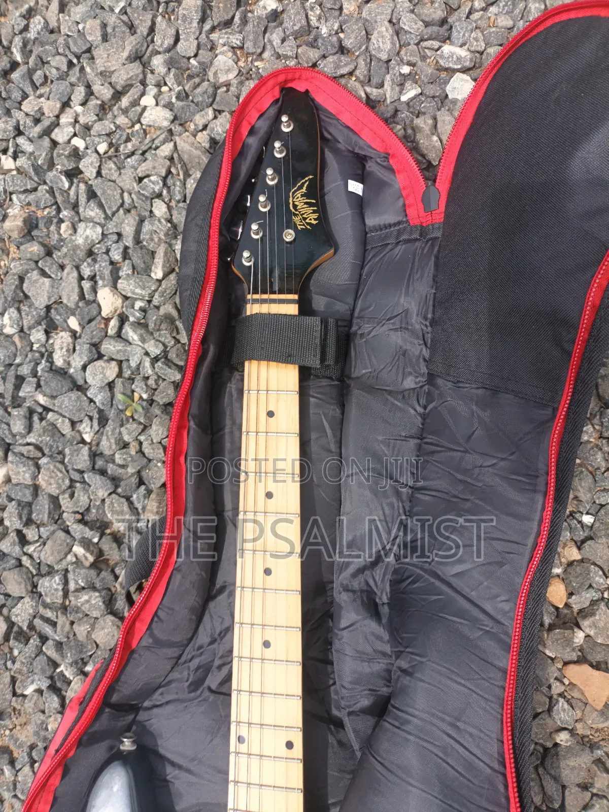 Telecaster Strat the Animal With a Padded Bag