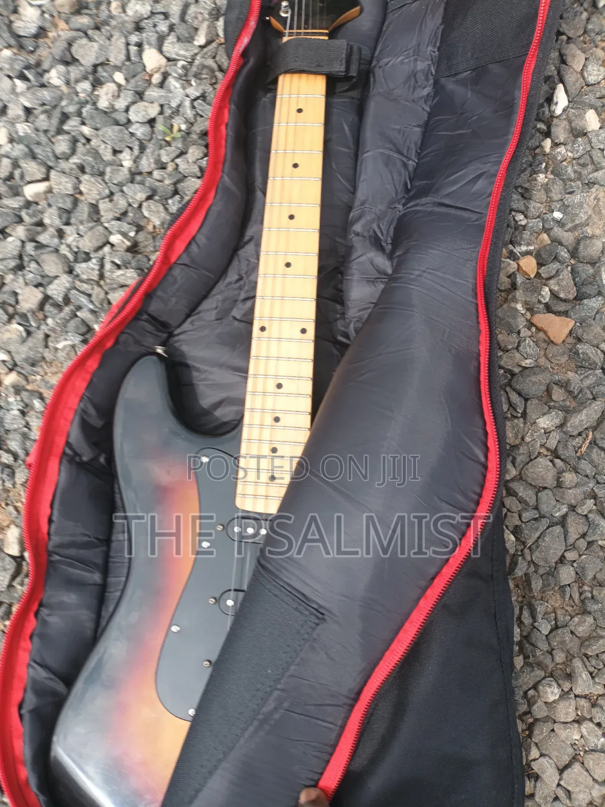 Telecaster Strat the Animal With a Padded Bag