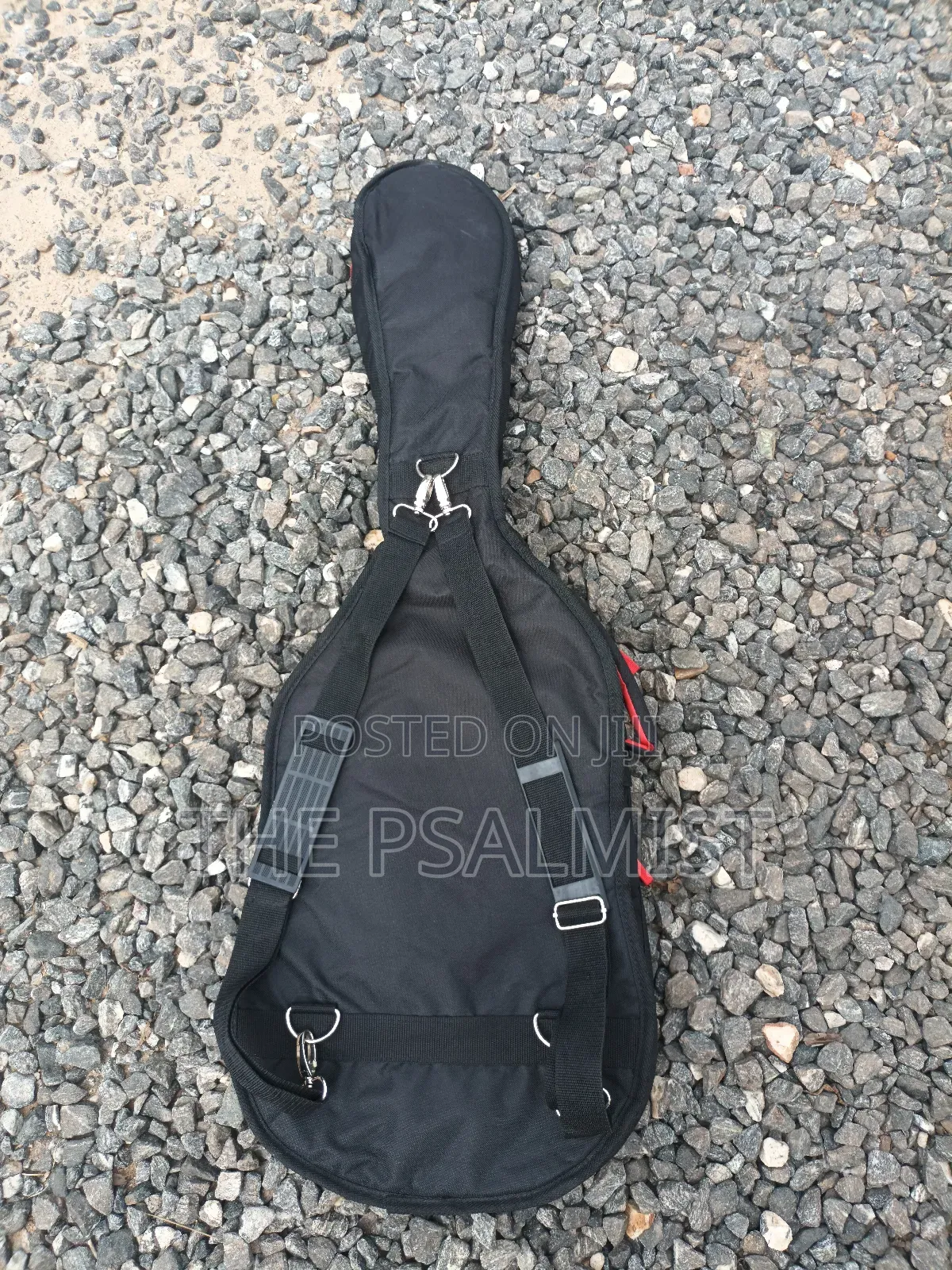 Telecaster Strat the Animal With a Padded Bag
