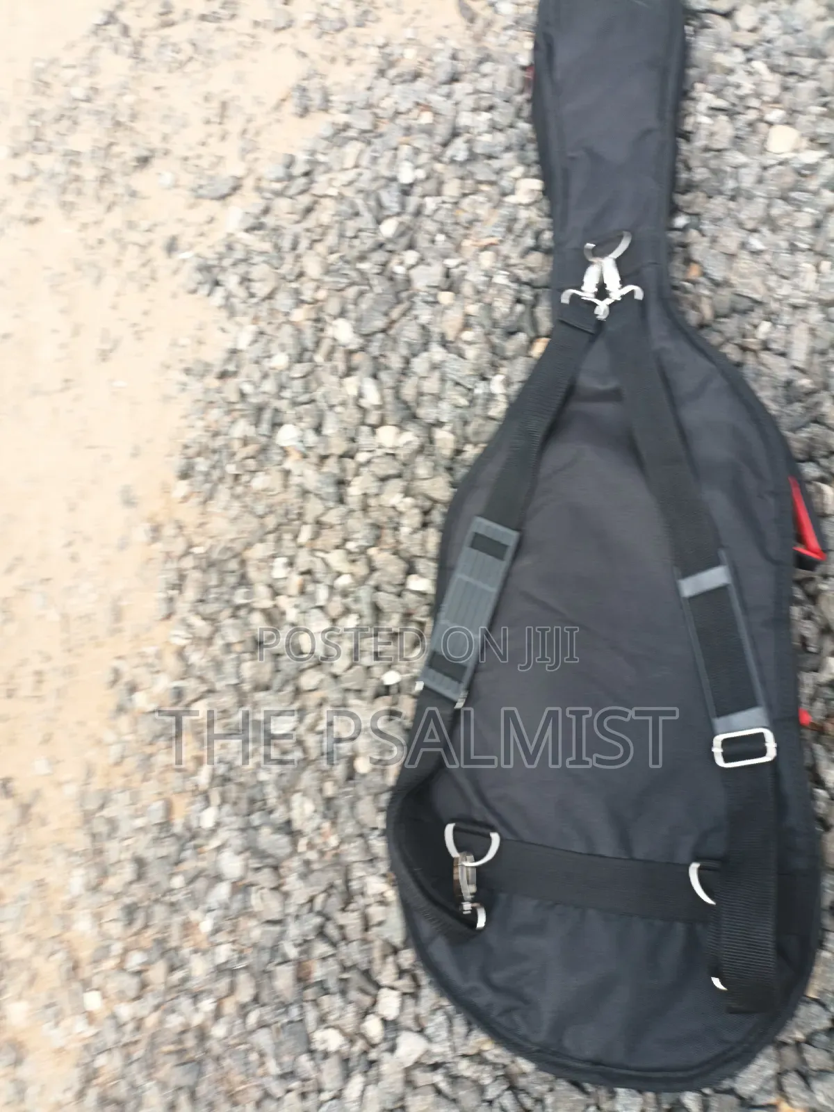 Telecaster Strat the Animal With a Padded Bag