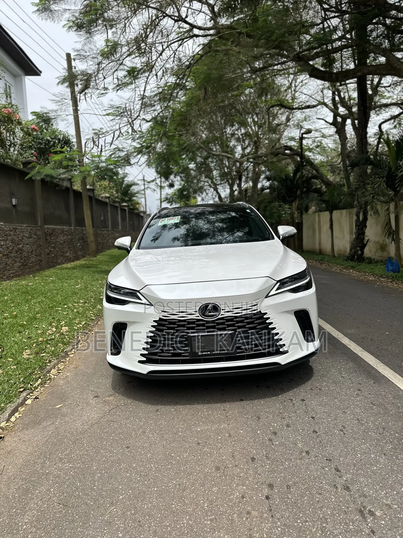 Lexus RX 350 2024 White