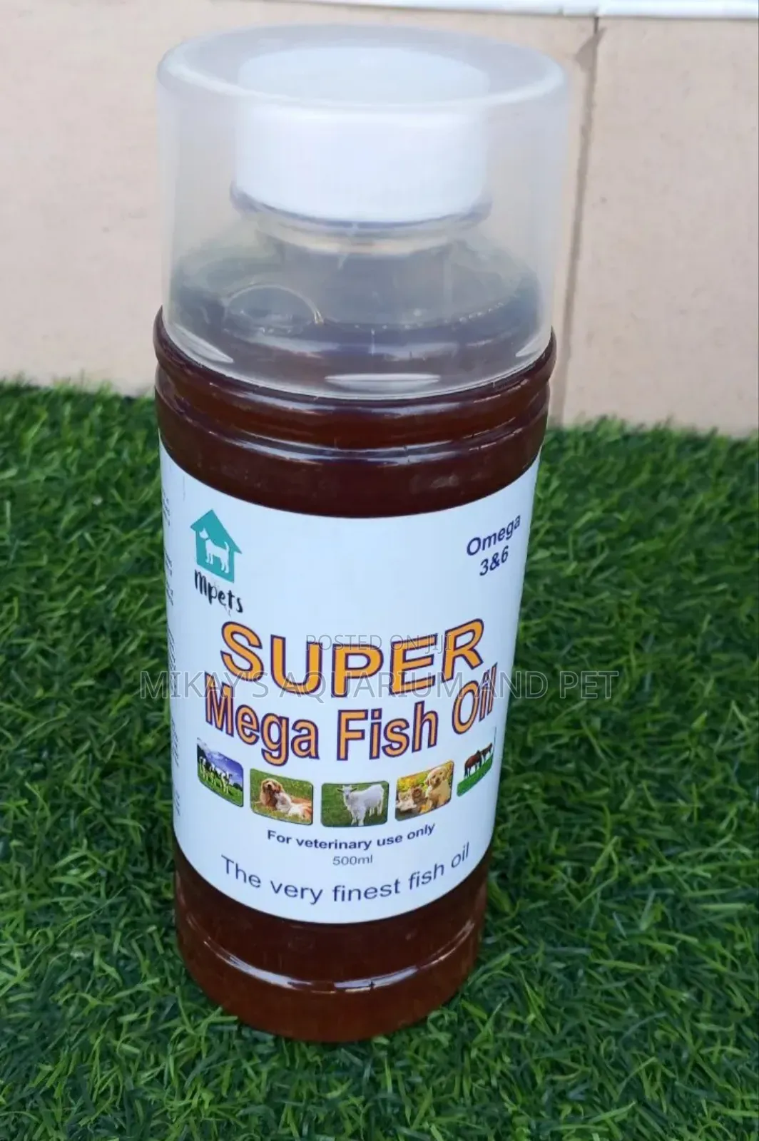 Fish Oil for Pets