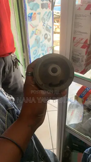 Original Frotise Lower Arm Bushings