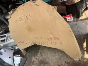 2012,2013,2014,2015,2016,2017 Hood For Hyundai Veloster