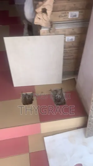 Thy Grace Tiles Enterprise