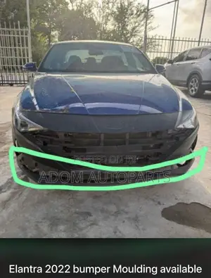 Elantra Front Bumper Side Moulding 2021 2022 2023