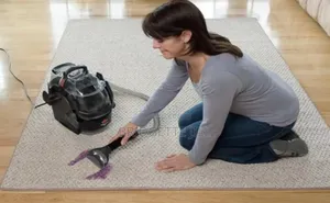 Bissell Spot Clean Pro