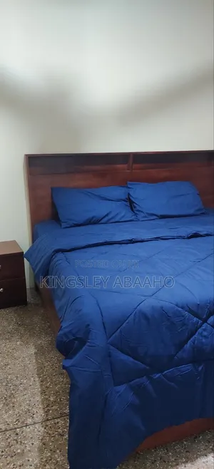 Furnished Mini Flat in Accra Metropolitan for rent