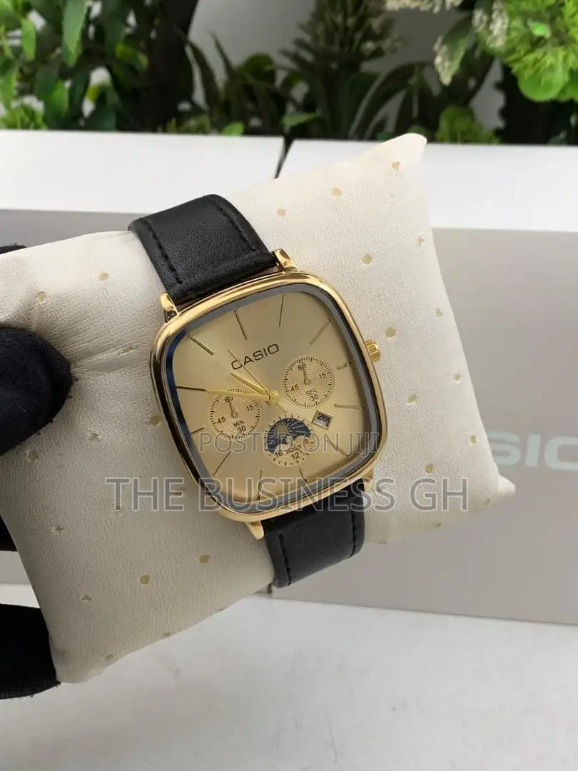 Casio Watch