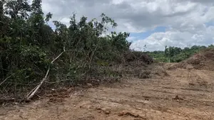 2plots at New Baakoyeden