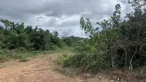 2plots at New Baakoyeden