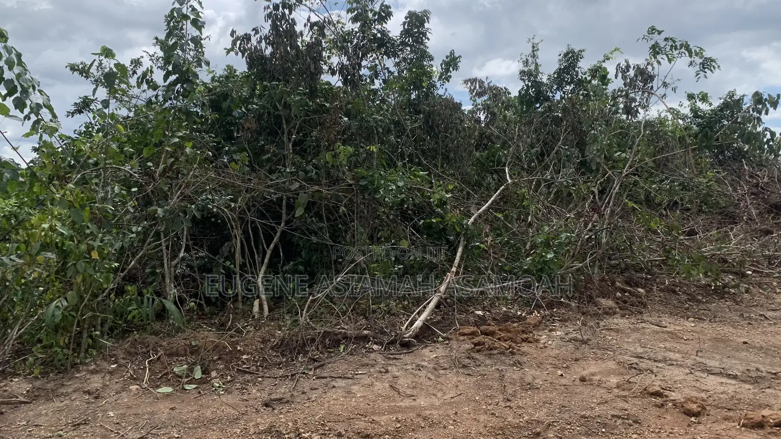 2plots at New Baakoyeden