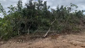 2plots at New Baakoyeden