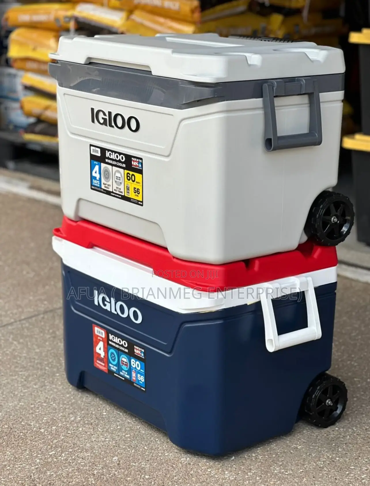 New Look Igloo 60qt Sunset Cooler Icechest Roller