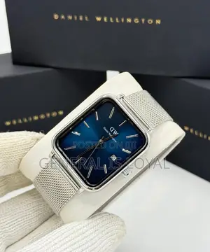 Dw Daniel Wellington Mesh Stainless Steel Men’S Watch