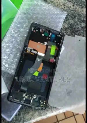 Samsung S21 Ultra Oled Screen