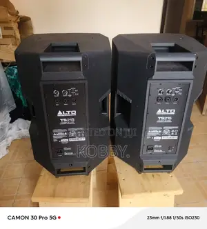Alto Ts 215 Active Speaker Monitor