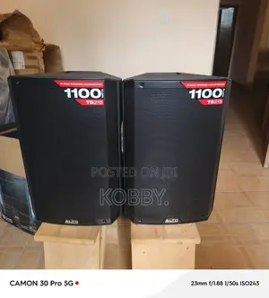 Alto Ts 215 Active Speaker Monitor