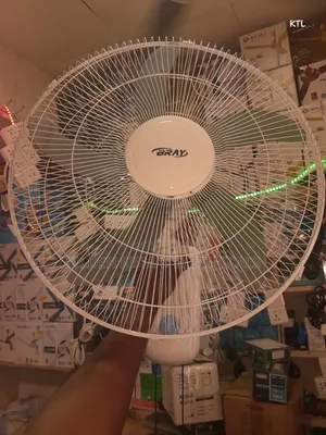 Bray 18 Inche Wall Fan