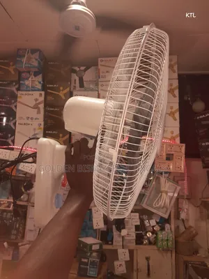 Bray 18 Inche Wall Fan