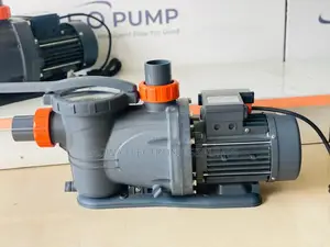 Captivating Leo 3.0hp /Pool Pump