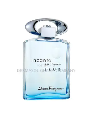Salvatore Ferragamo Incanto Blue Pour Homme - Edt