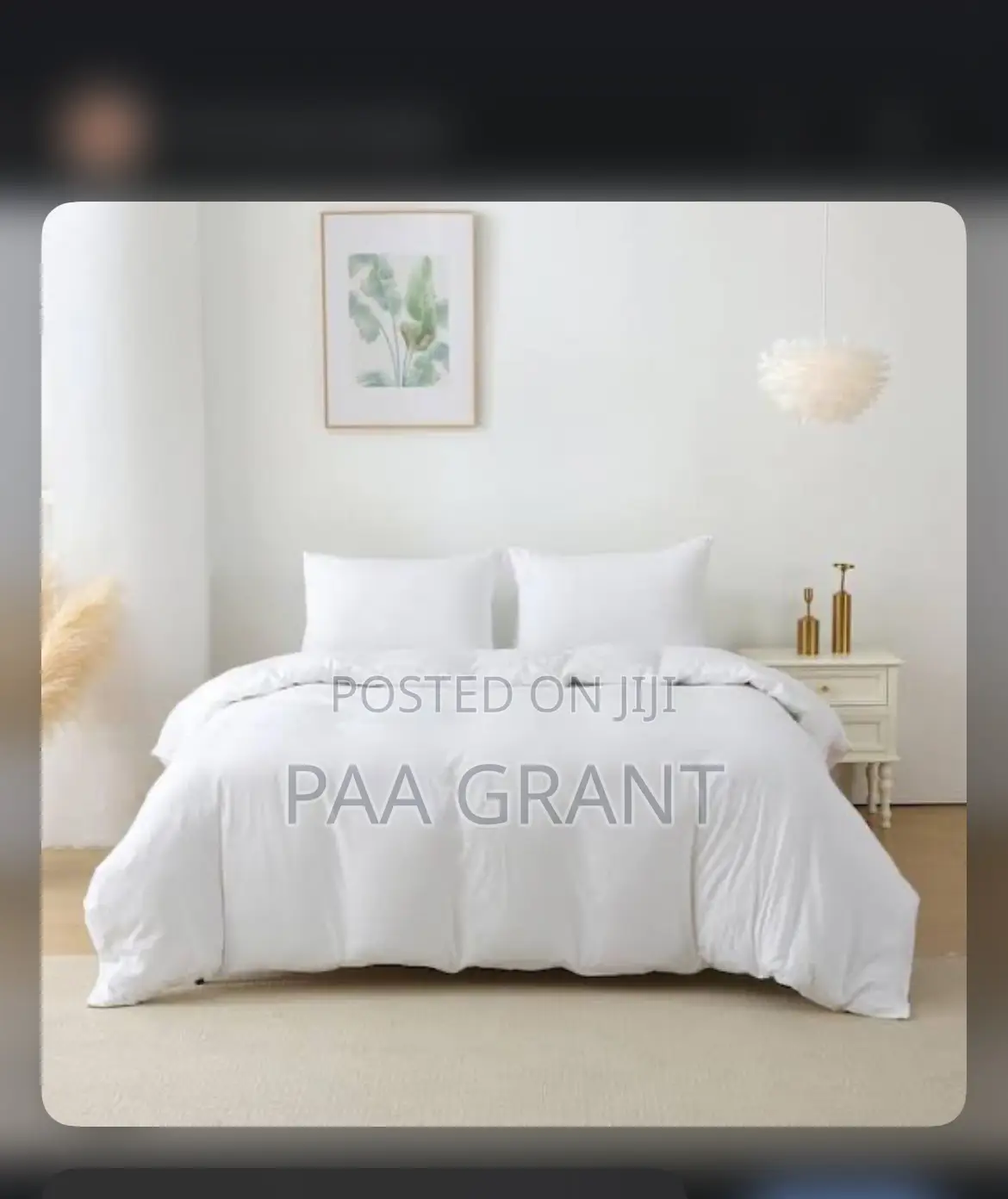 Luxurious Cotton White Hotel Grade Duvet Cover Only