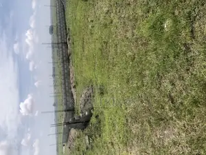 Genuine and Demarcated Pieces of Plots at Prampram for Sale