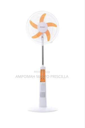 Rechargeable Fan
