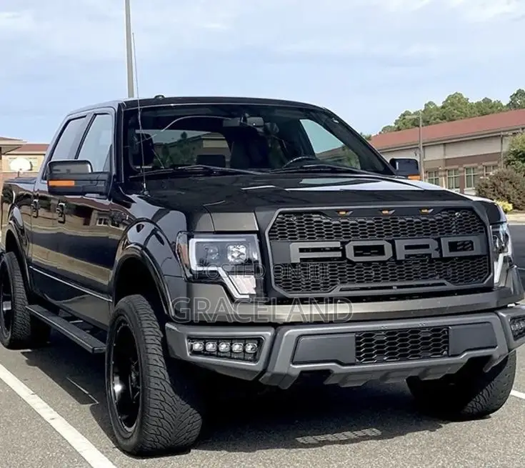 This Is Original Ford F-150 2023 Front Grill Shade