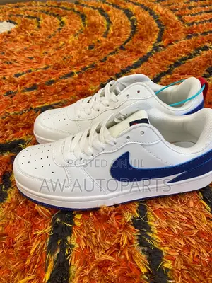 Nike Sb Sneaker