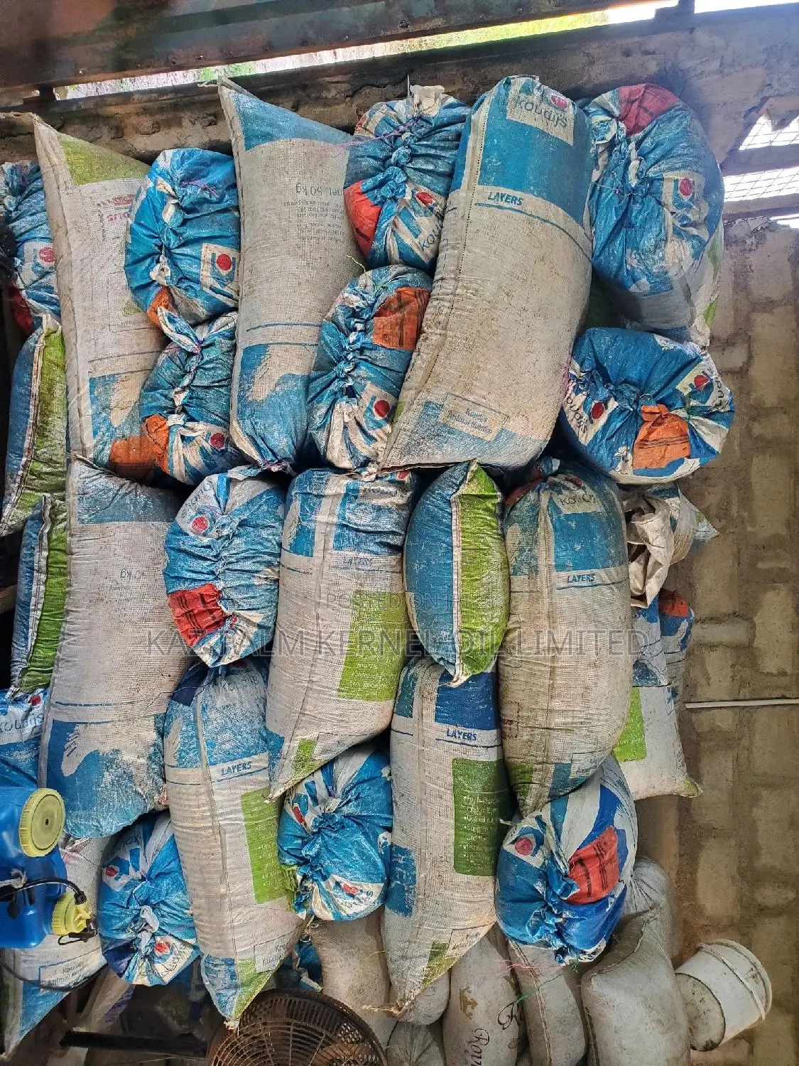 Palm Kernel Oil and Palm Kernel Cake