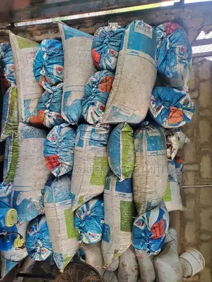Palm Kernel Oil and Palm Kernel Cake