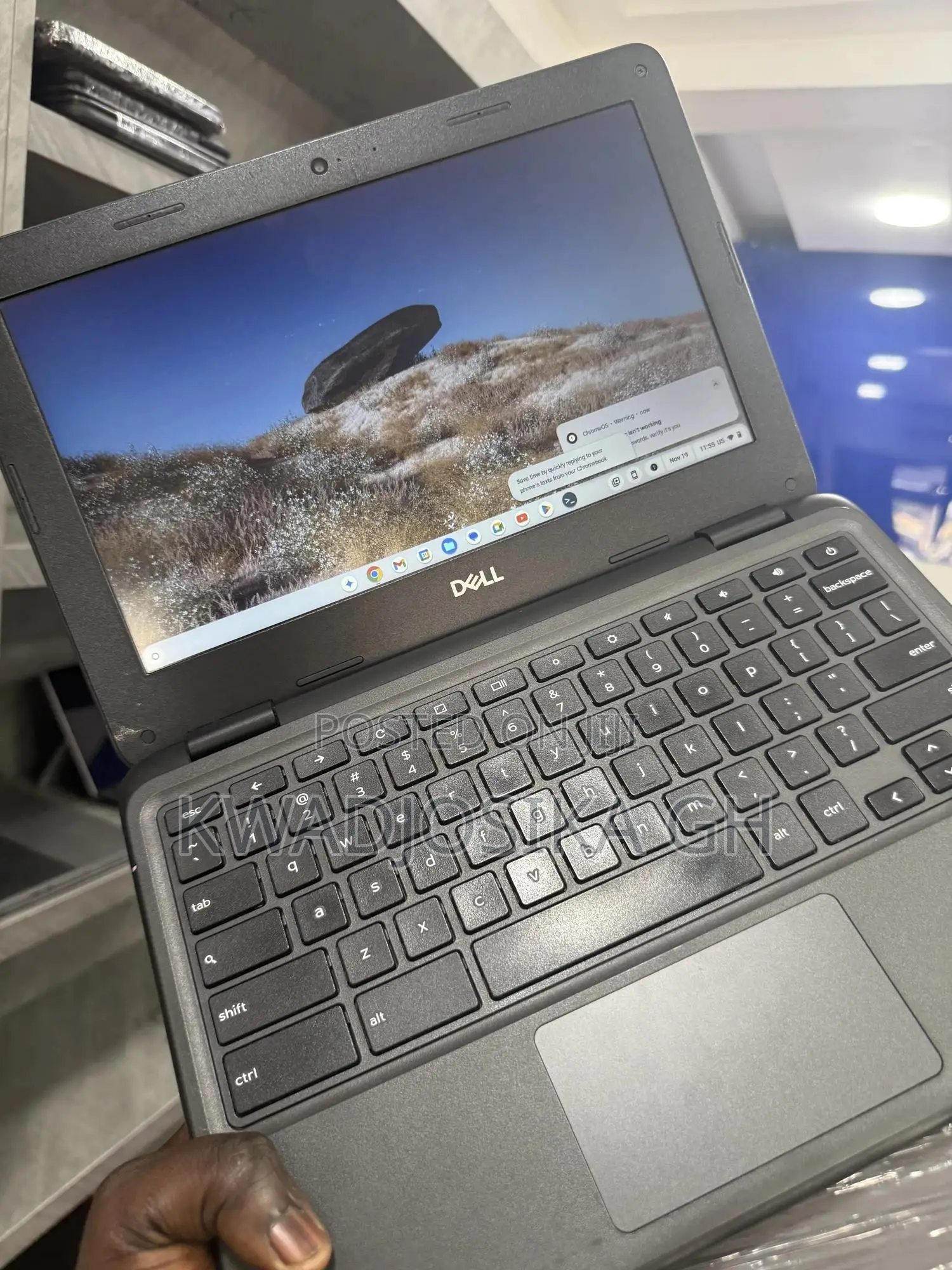 Laptop Dell Chromebook 3100 4GB Intel Core M eMMC 16 GB
