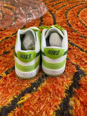 Nike Sb Sneaker