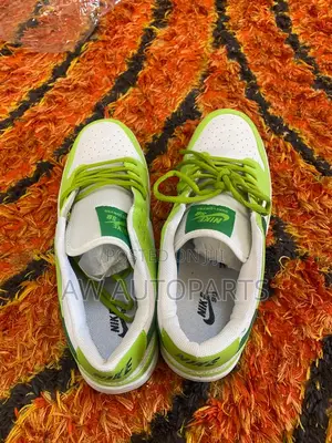 Nike Sb Sneaker