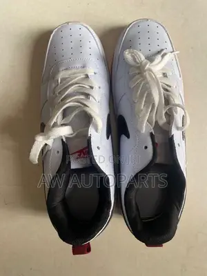 Nike Sb Zoom Air