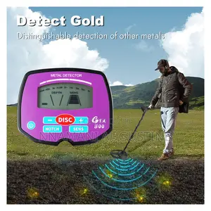Gtx 800 Gold Nugget Only Detector