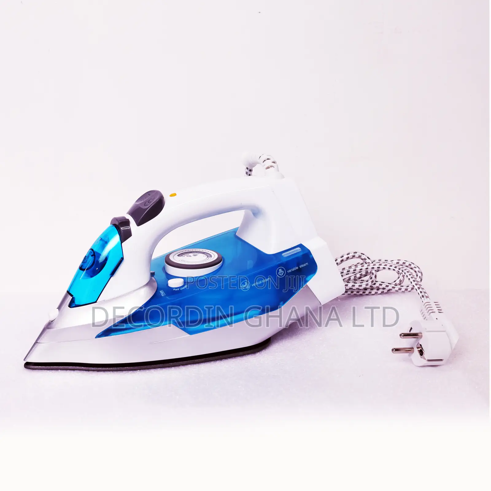 Professional Steam Iron