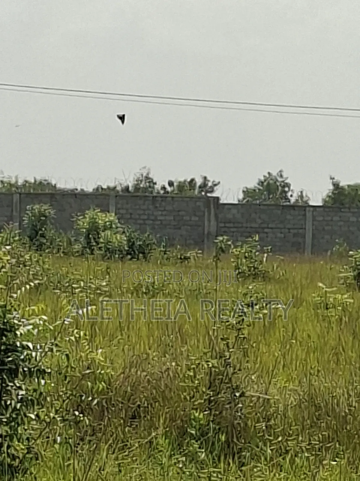 5.3 Acres Prime Land for Sale at Shai Hill