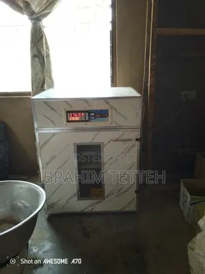 Egg Incubator