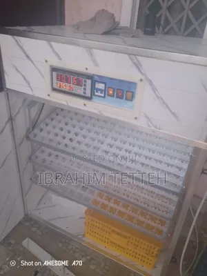 Egg Incubator